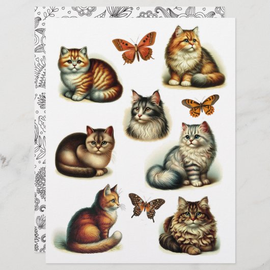 蝶と美しい猫イラスト (正面/裏面)