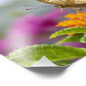 蝶と花のクローズアップ写真 フォトプリント            (角)