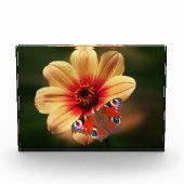 蝶と花のフォトブロック フォトブロック (正面)