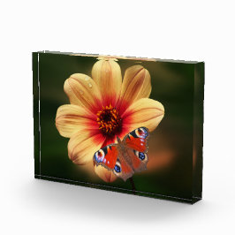 蝶と花のフォトブロック フォトブロック