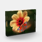 蝶と花のフォトブロック フォトブロック (左)