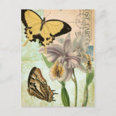 蝶と花のヴィンテージ ポストカード (正面)