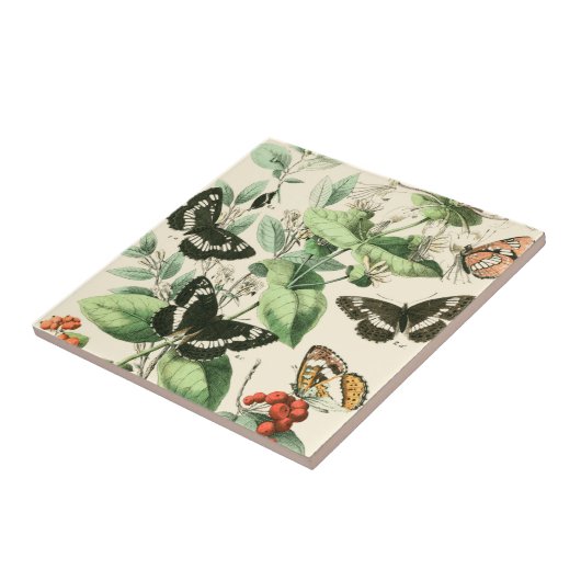 蝶と花の庭 タイル (側面)