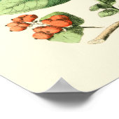 蝶と花の庭 ポスター (角)