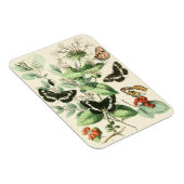 蝶と花の庭 マグネット (右側)