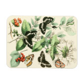 蝶と花の庭 マグネット (横)