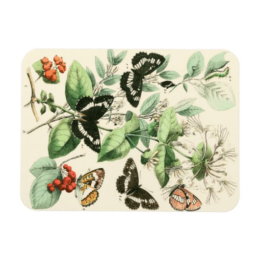 蝶と花の庭 マグネット (横)