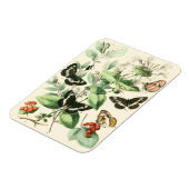 蝶と花の庭 マグネット (左側)