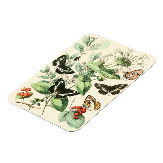 蝶と花の庭 マグネット (左側)