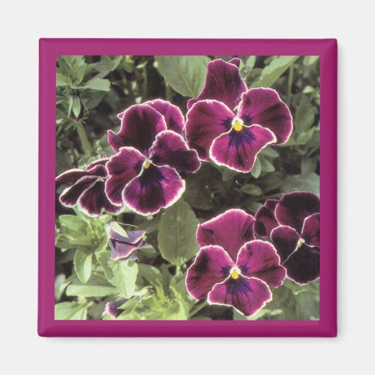 蝶と花の花束 マグネット (正面)