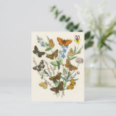 蝶と花ヴィンテージイラストレーション1 ポストカード (スタンド正面)
