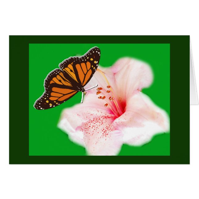 蝶と花 (正面横)