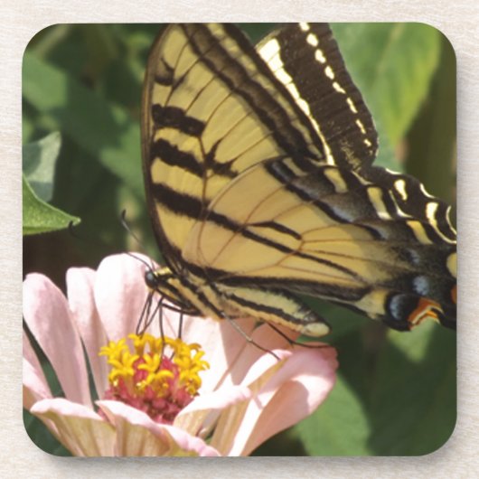蝶と花 コースター (正面)