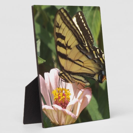 蝶と花 フォトプラーク (側面)