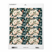 蝶と花 ラベル (フルシート)