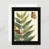 蝶と葉黒枠つき蝶 ポストカード (正面/裏面)