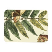 蝶と葉黒枠つき蝶 マグネット (横)