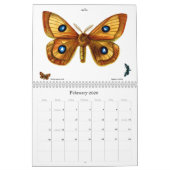 蝶と蛾のリトグラフ カレンダー (2月 2026)