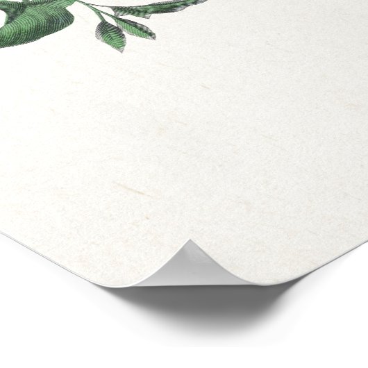 蝶と蛾2 ポスター (角)