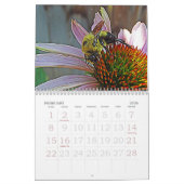 蝶と蜂 カレンダー (2月 2026)