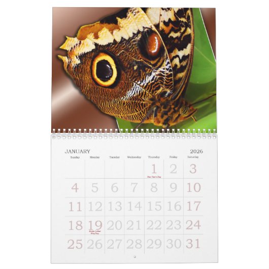 蝶と蜂 カレンダー (1月 2026)