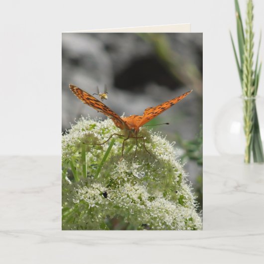 蝶と蜂、グリーティ空白のングカード カード (正面)