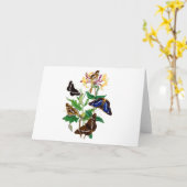 蝶と赤ハニーサックル カード (黄色い花)