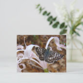 蝶と踊りの花 ポストカード (スタンド正面)