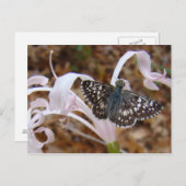 蝶と踊りの花 ポストカード (正面/裏面)