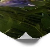 蝶と野花 ポスター (角)