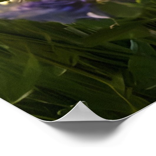 蝶と野花 ポスター (角)