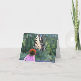 蝶とConeflower - Pensandoo en ti カード