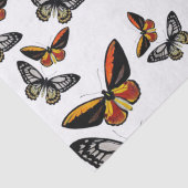 蝶どこでも包装紙 薄葉紙 (詳細)