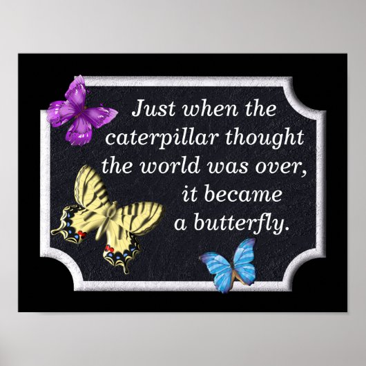 蝶になった – プリント (正面)