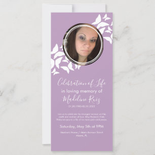 蝶のお祝いの写真