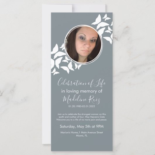 蝶のお祝いの写真 (正面)