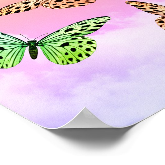 蝶のみ ポスター (角)