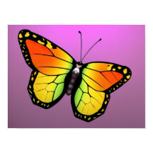 蝶のカラフルポスター