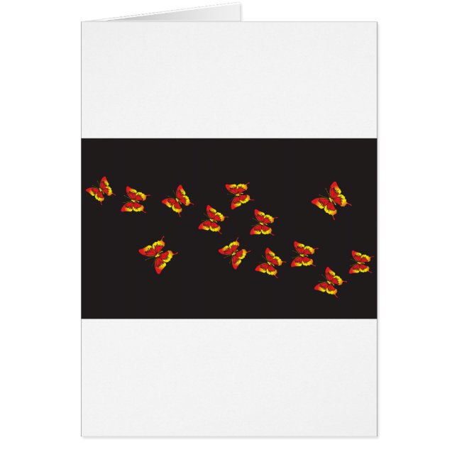 蝶のキスと夢 (正面)