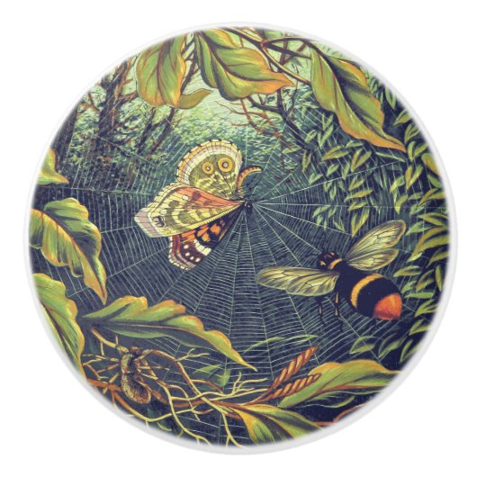 蝶のクモの巣ビーヴィンテージガーデンアート セラミックノブ (正面)