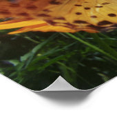 蝶のクローズアップ、羽ばたき ポスター (角)