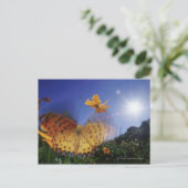 蝶のクローズアップ、羽ばたき ポストカード (スタンド正面)