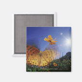 蝶のクローズアップ、羽ばたき マグネット (正面/裏面)