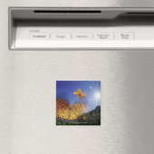 蝶のクローズアップ、羽ばたき マグネット (インサイチュ (食洗機))