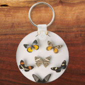 蝶のコレクション、キーチェーン キーホルダー (正面)