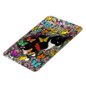 蝶のソバカス – Tuxedo子猫 マグネット (左側)