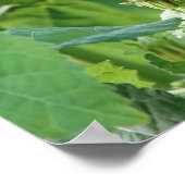 蝶のポスターと神の強さに関する節 ポスター (角)