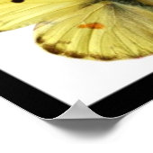 蝶のモザイク写真 ポスター (角)