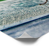 蝶の一般的なモルフォ ポスター (角)