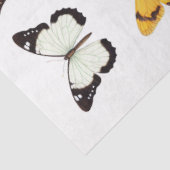 蝶の万華鏡のように千変万化するパターン1デクページ紙 薄葉紙 (詳細)